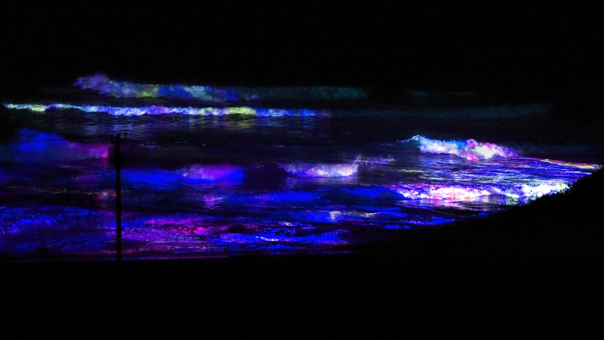 夜の森のミュージアムで幻想世界を体感/チームラボ 幽谷隠田跡