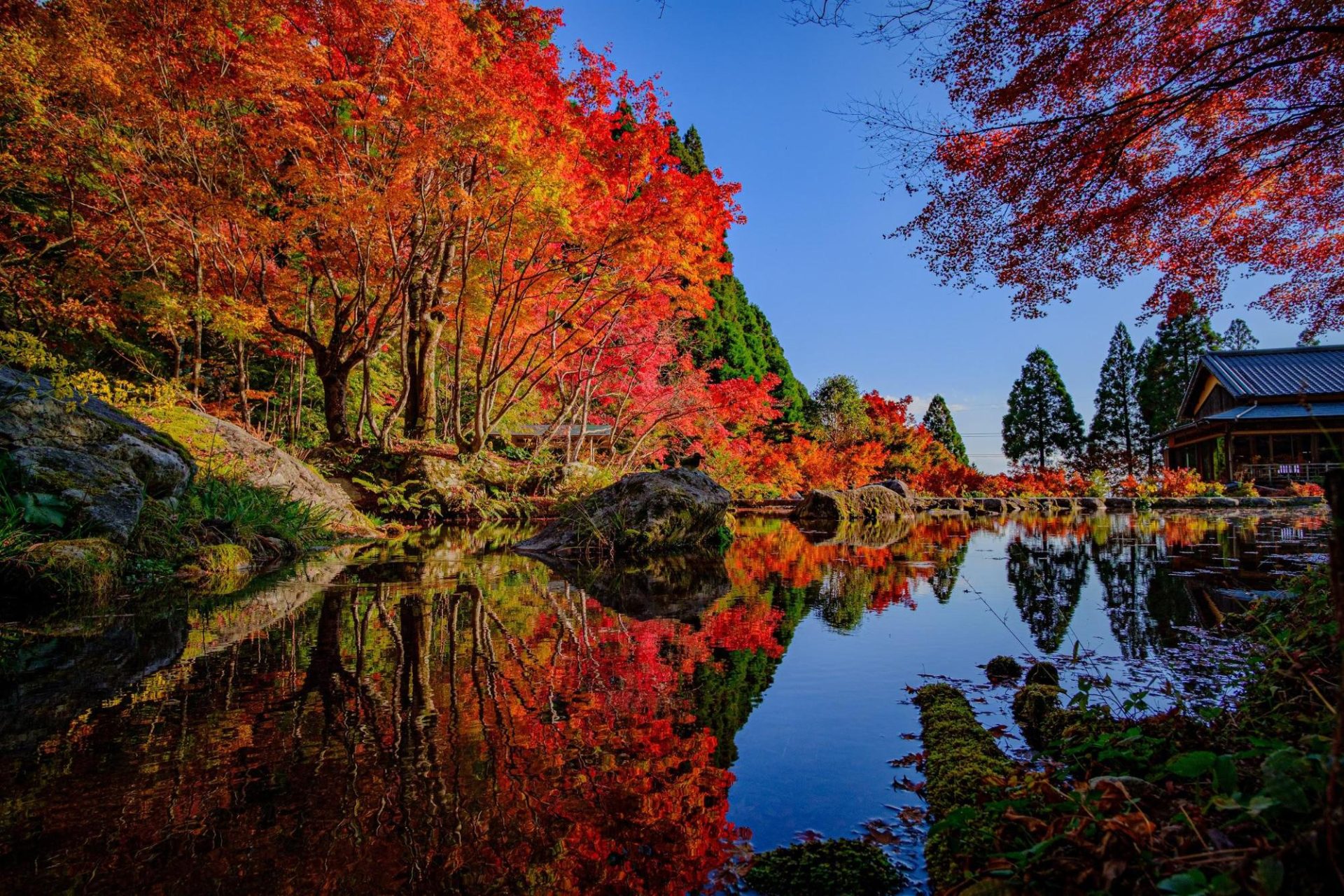 【佐賀・唐津〜武雄ドライブ】自然と文化と温泉のぬくもりを求めて（ロマンチックな旅Vol.1）
