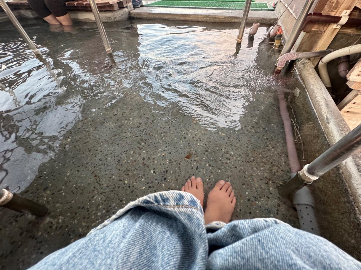 バードウォッチングしにマイカーを走らせる Vol.4