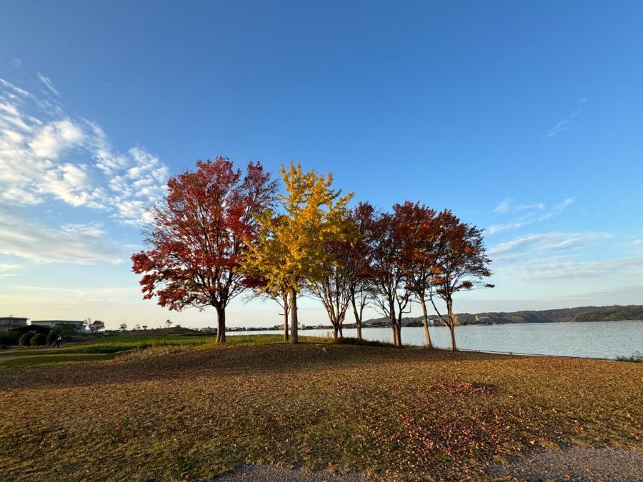 バードウォッチングしにマイカーを走らせる Vol.4