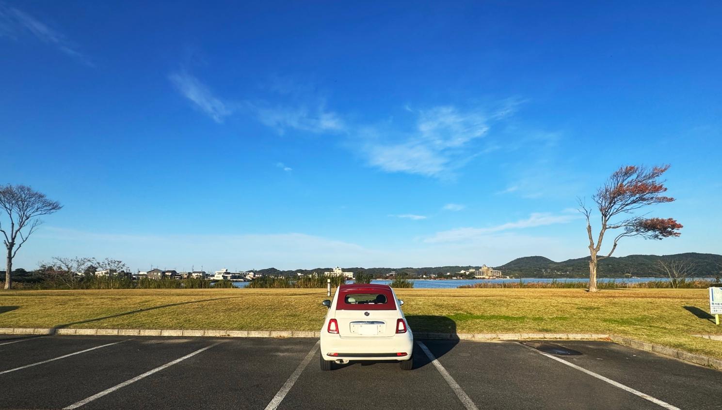 散歩も兼ねたバードウォッチングは気分転換にぴったり!