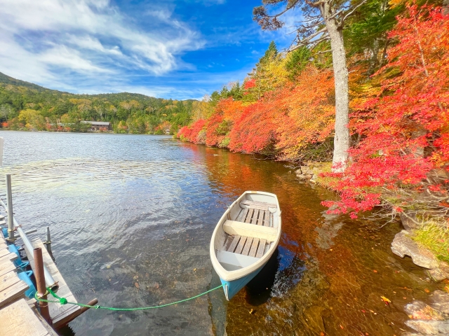 ⑧白駒池(長野県)