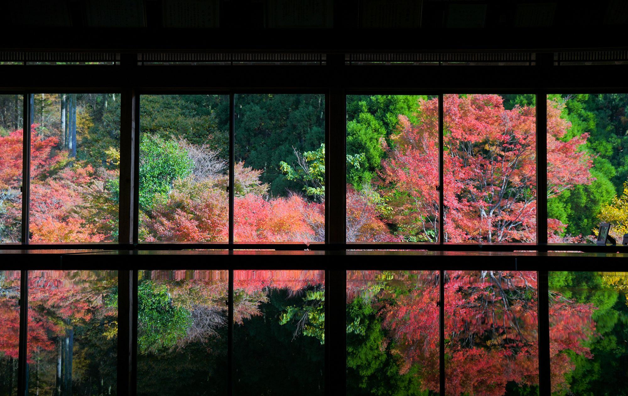 【佐賀・唐津〜武雄ドライブ】自然と文化と温泉のぬくもりを求めて（ロマンチックな旅Vol.1）