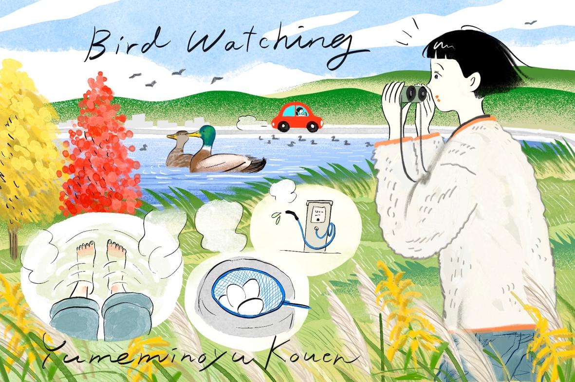 バードウォッチングしにマイカーを走らせる Vol.4