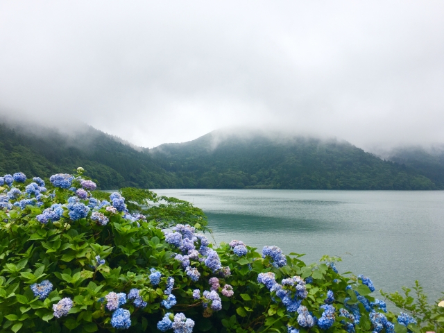 ⑧雲仙おしどりの池（長崎県） 