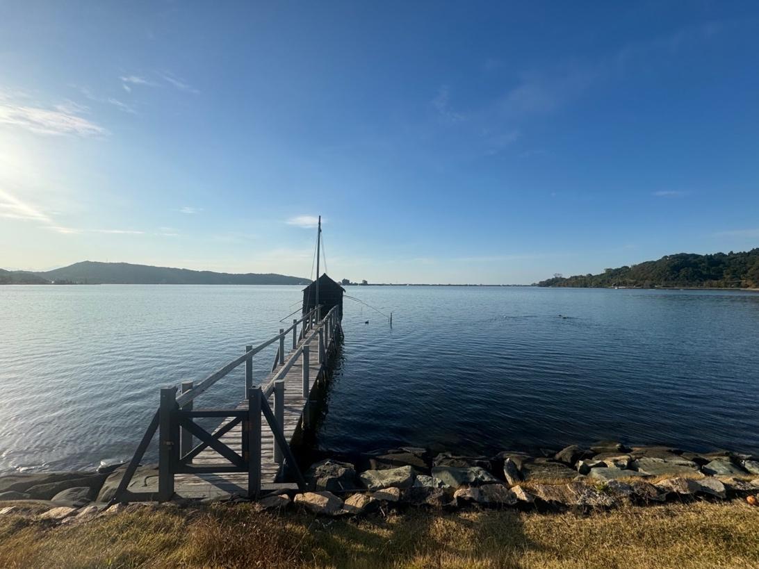 水鳥が集う東郷池へ