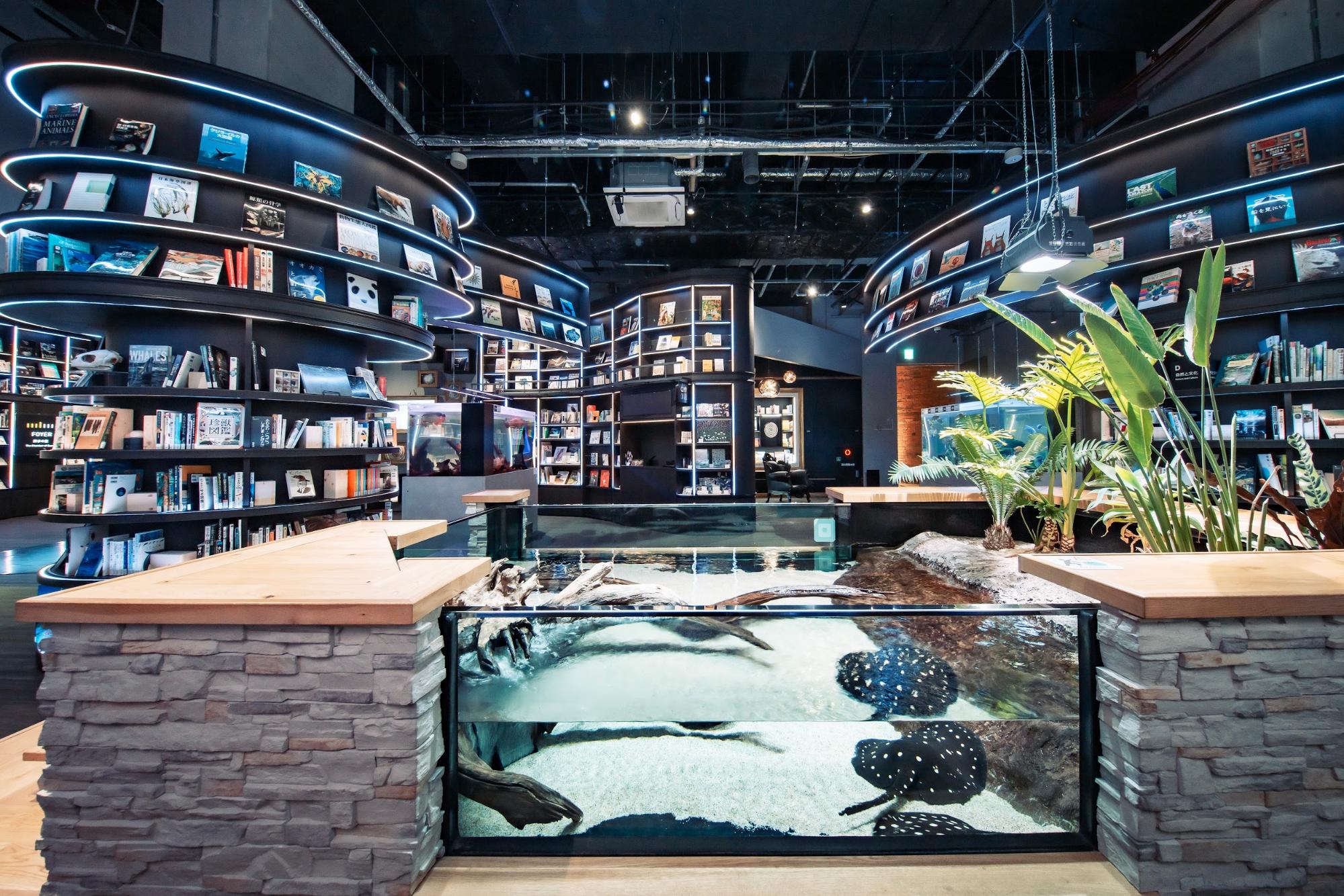 【兵庫・三田〜神戸ドライブ】芸術と自然をめぐる、五感で楽しむ大人時間(ロマンチックな旅 Vol.4)