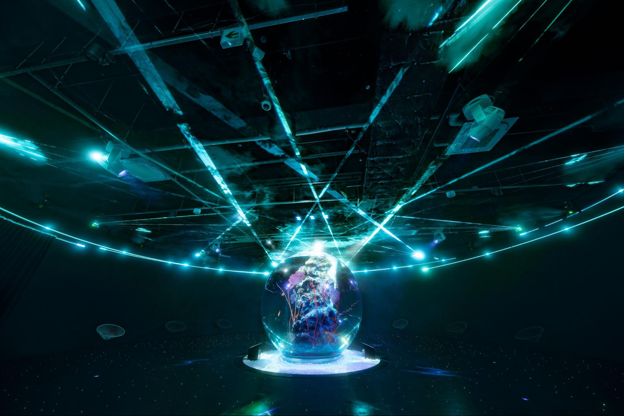 【兵庫・三田〜神戸ドライブ】芸術と自然をめぐる、五感で楽しむ大人時間(ロマンチックな旅 Vol.4)