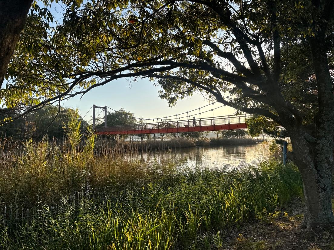 バードウォッチングしにマイカーを走らせる Vol.4