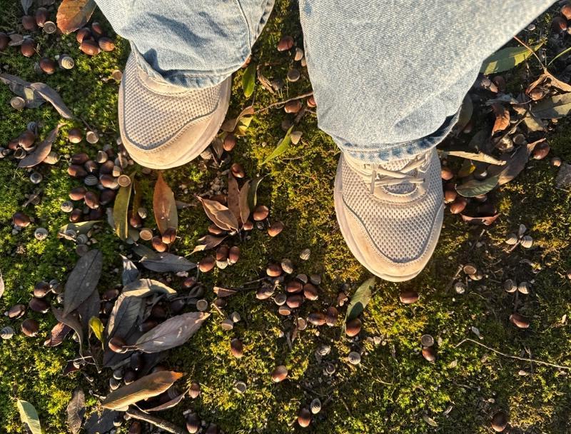 バードウォッチングしにマイカーを走らせる Vol.4