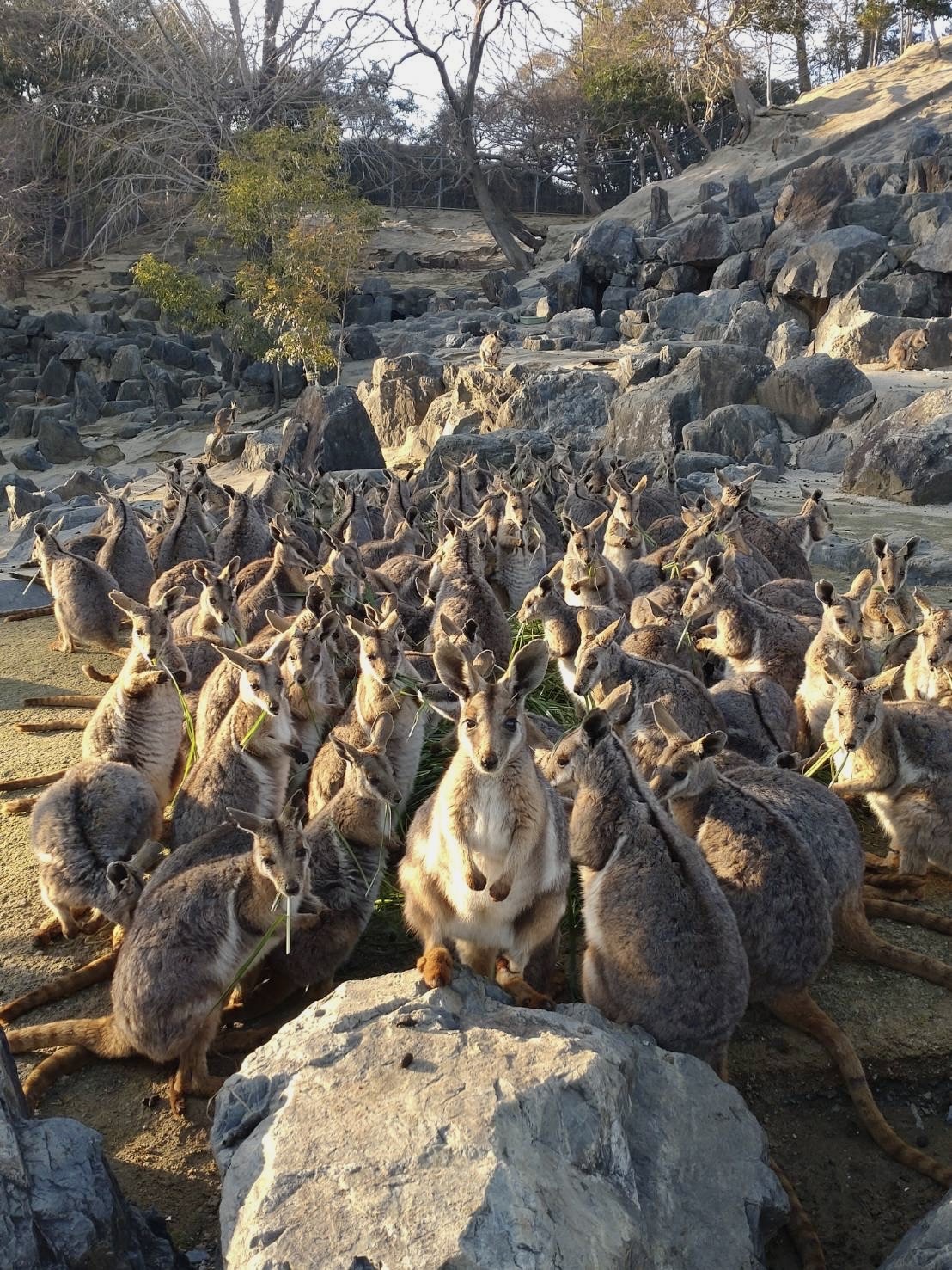 【福岡 ・北九州ドライブ】レトロな情緒と夜景美が彩る大人旅(ロマンチックな旅Vol.2)