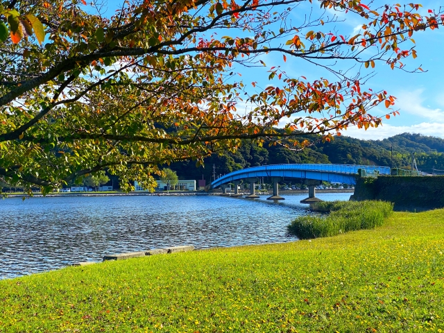 ①湖山池（鳥取県）