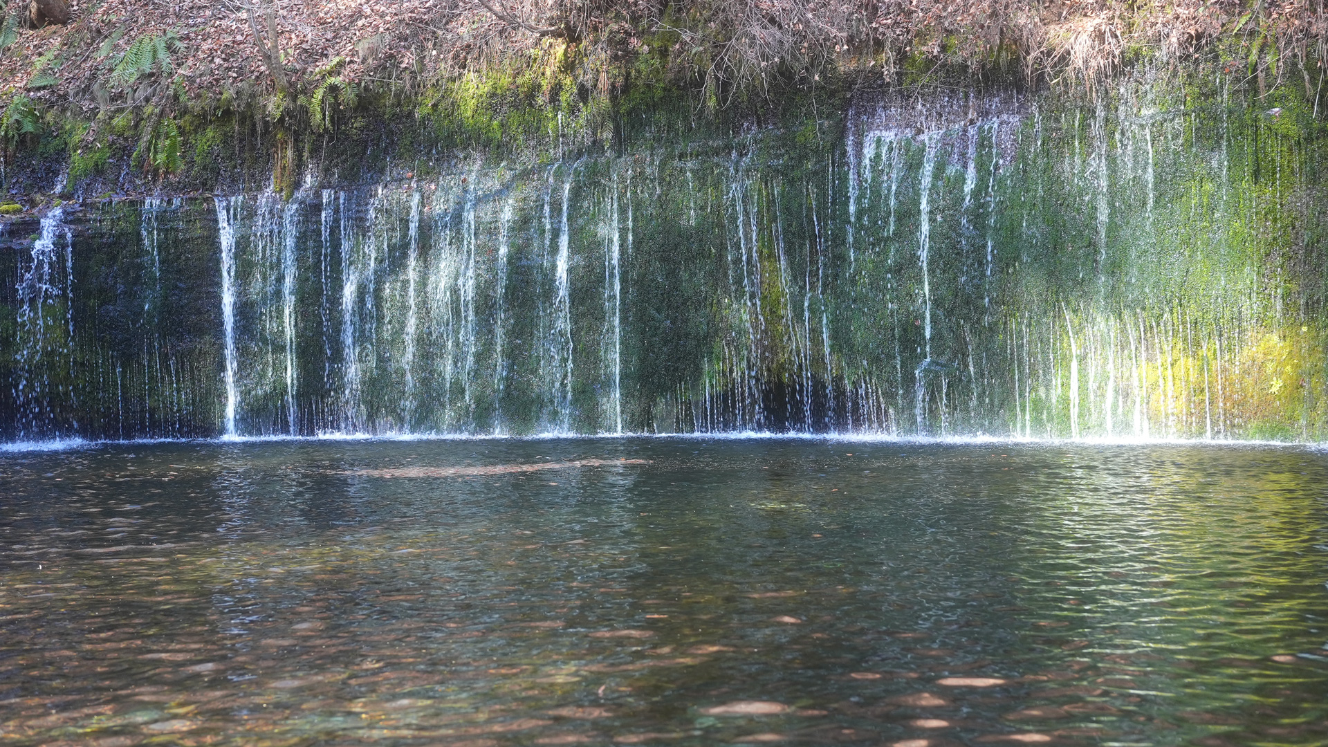 コムテック編集部も満喫！ 冬の温泉へ！のんびりドライブ〜ドライブレコーダーでご案内〜