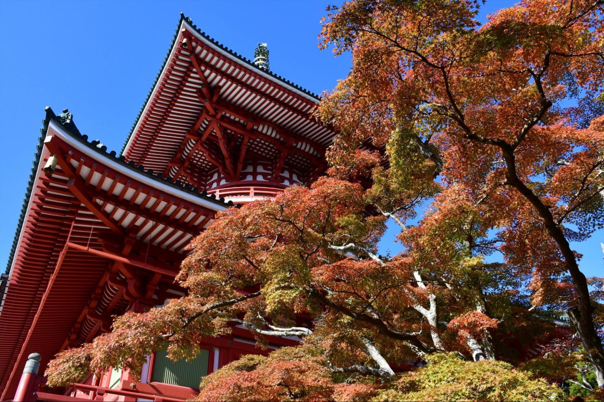 紅葉に彩られる池や滝をめぐりリフレッシュ/成田山公園（成田山新勝寺 境内）