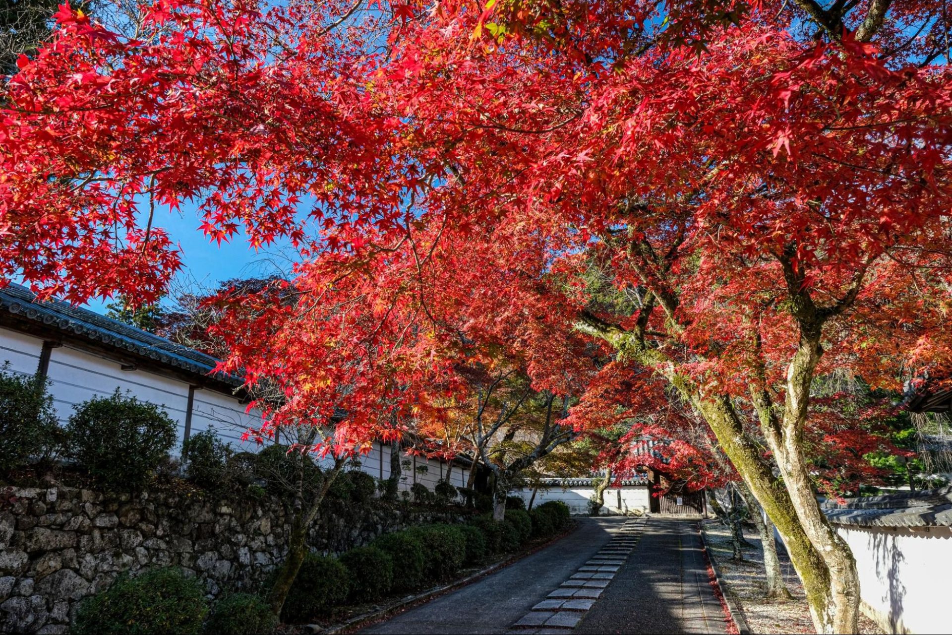 日本遺産のお寺へ/天野山金剛寺 