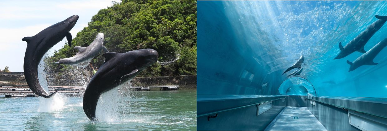 【和歌山・熊野エリアドライブ】熊野古道と南紀温泉を巡る聖地ドライブ（親孝行の旅 Vol.4）