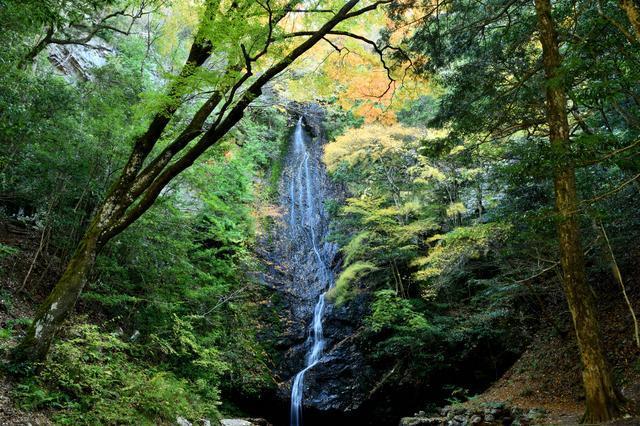 落差40mの滝と紅葉の絶景 /琴滝
