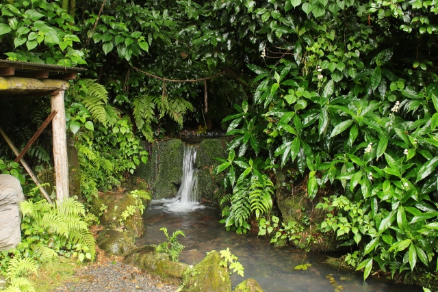 ⑥天の真名井(鳥取県)