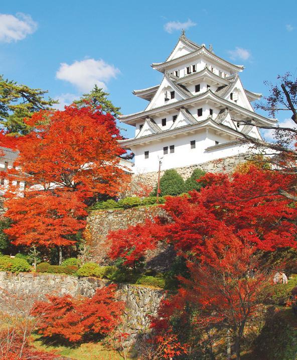 標高350ｍの山頂に建つ天空の城 / 郡上八幡城