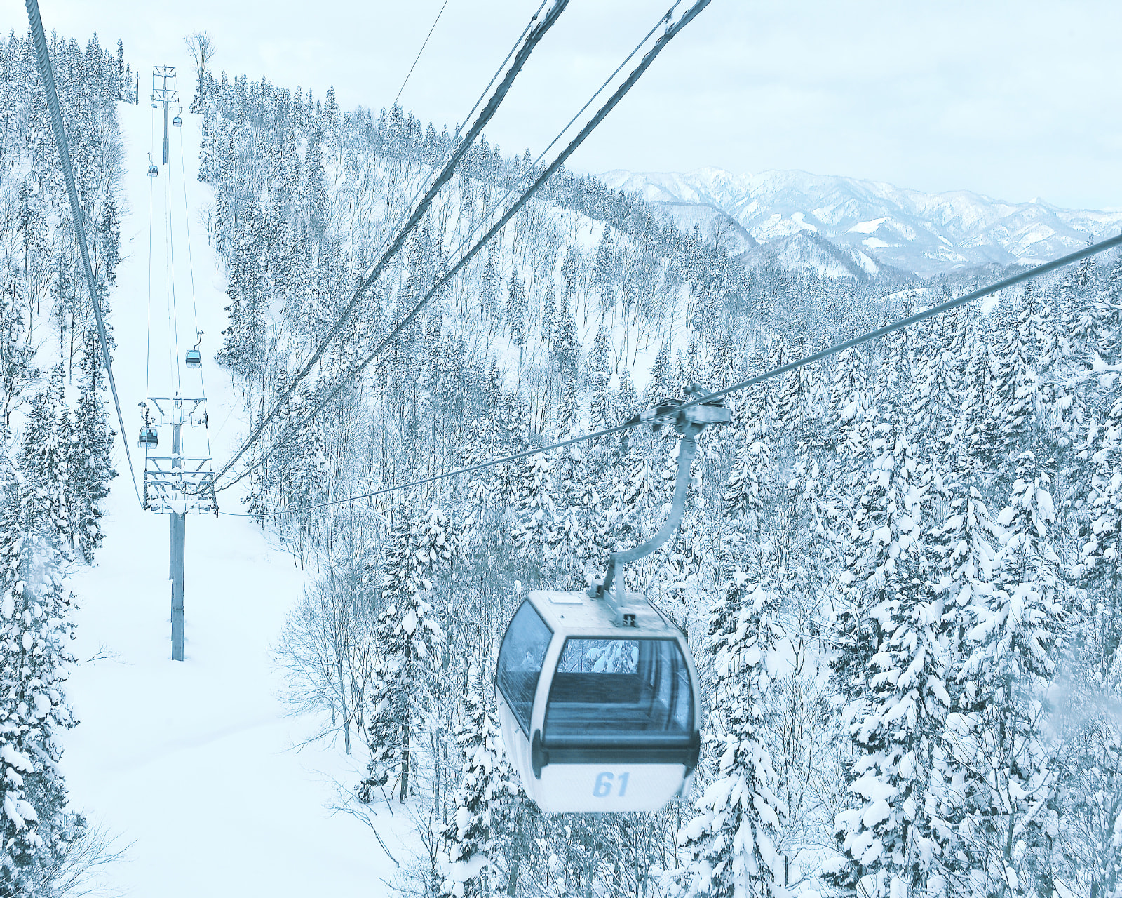 【秋田・角館〜田沢湖ドライブ】樹氷と温泉を楽しむ、癒しの周遊旅（雪景色を楽しむ旅 Vol.4）