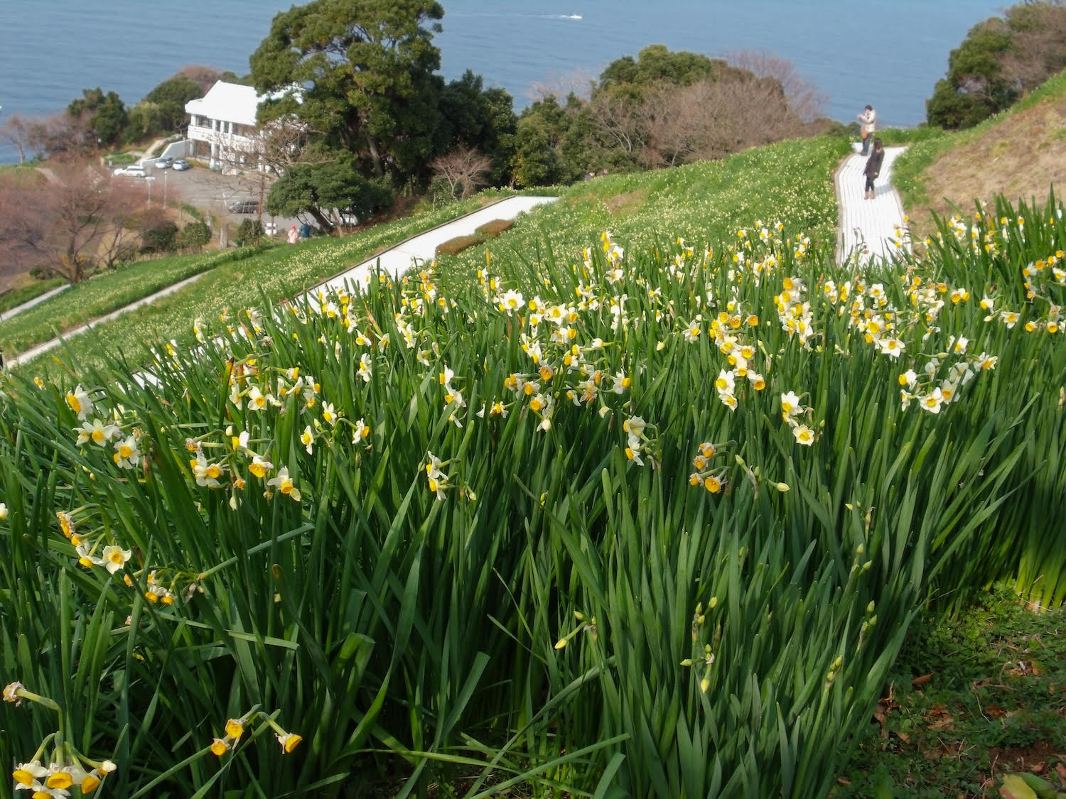 【福井・越前ドライブ】冬の越前海岸の絶景ルートを巡る（雪景色を楽しむ旅 Vol.2）