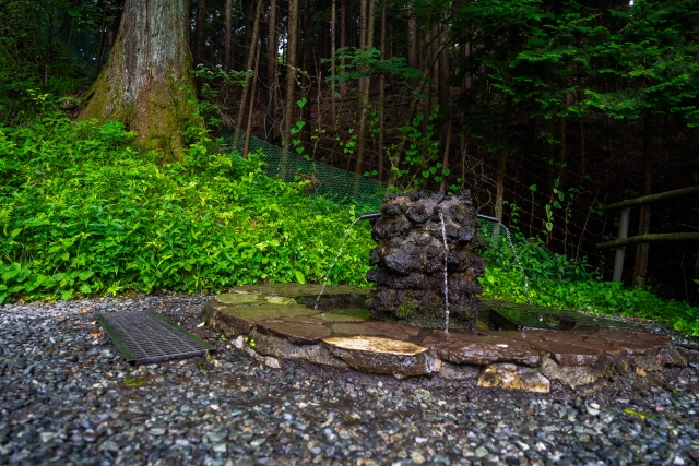 ⑥護摩屋敷の水（神奈川県）
