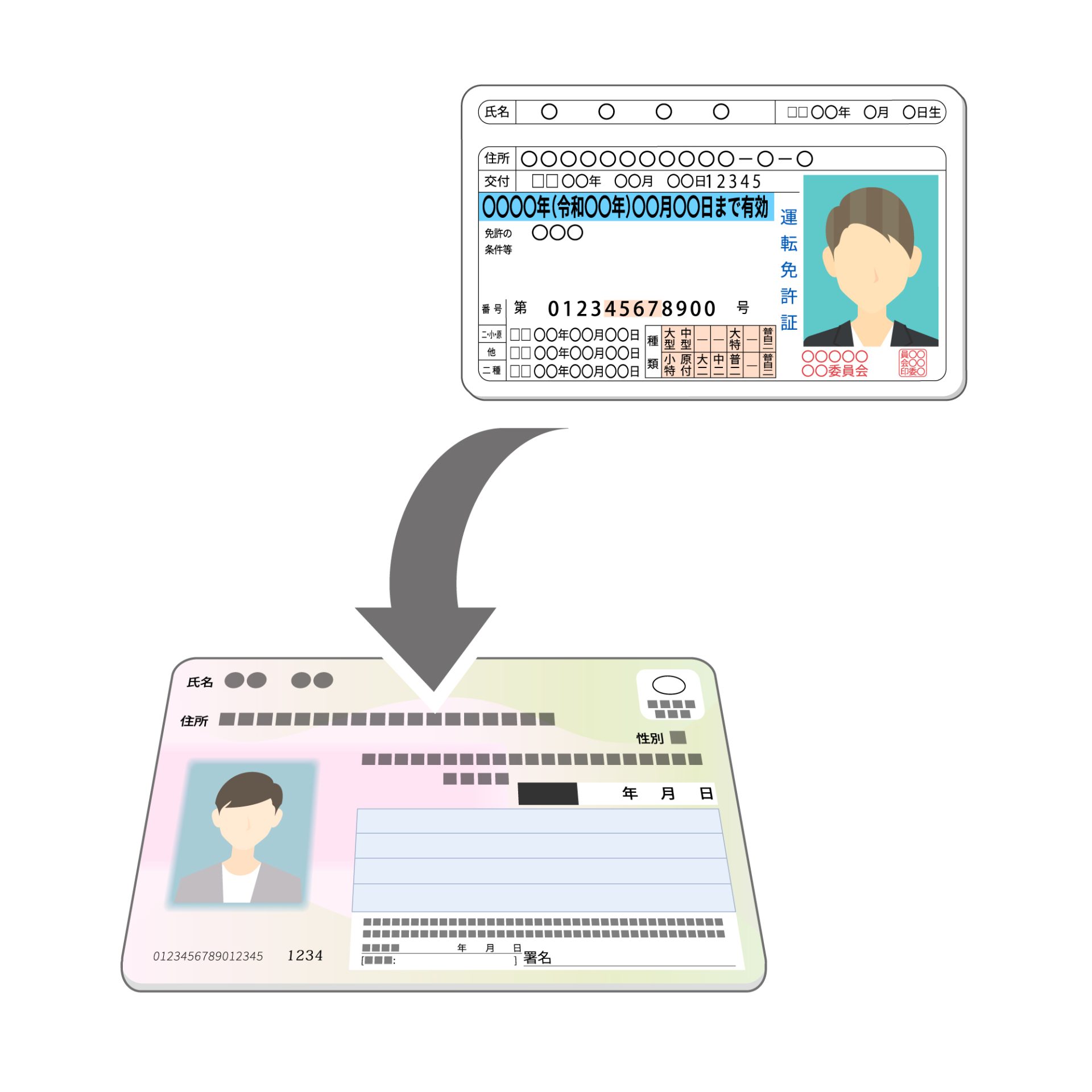 マイナ免許証と運転免許証の違いについて