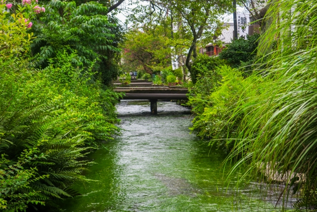 ①居醒の清水(滋賀県)