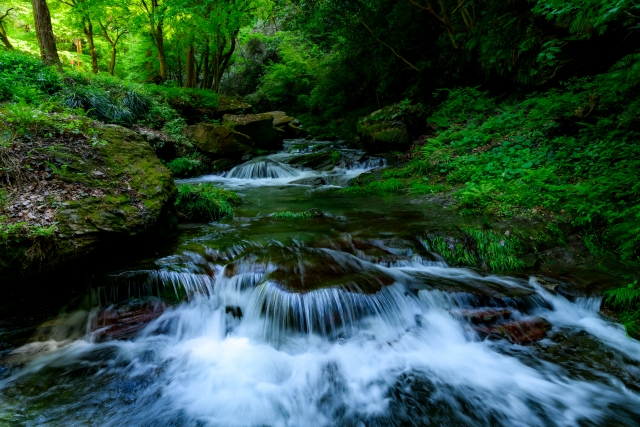 ②風布川(埼玉県）