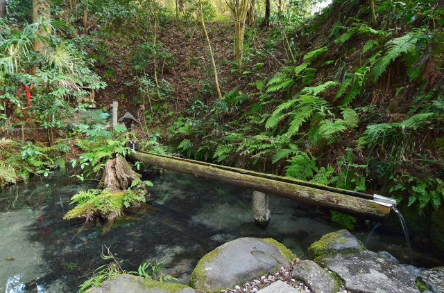 ⑨熊野の清水（千葉県）