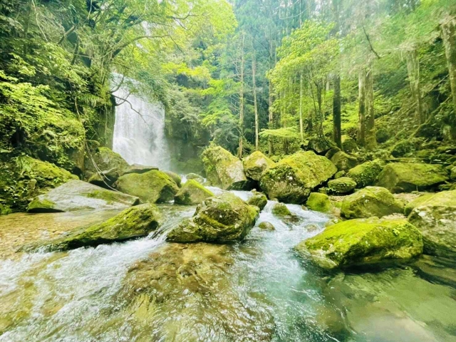 ①桑ノ木の滝（和歌山県）