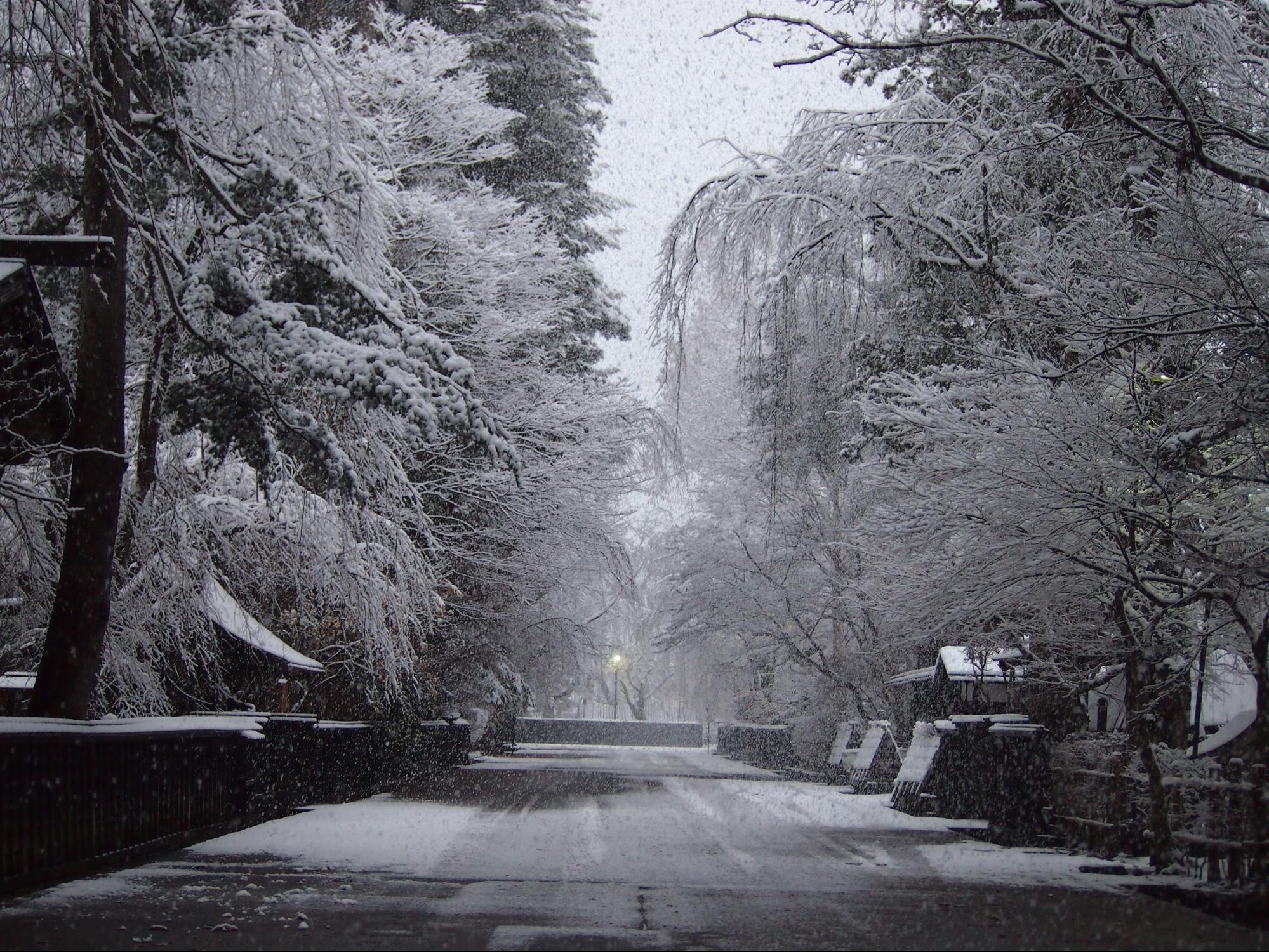 歴史と四季が織りなす、情緒あふれる城下町 / 角館の武家屋敷