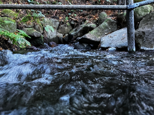 ①箱島湧水（群馬県）