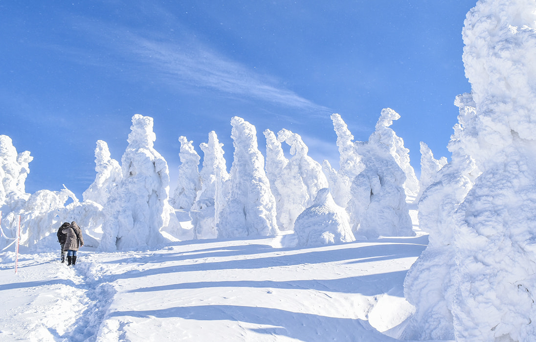 樹氷の世界へ向かう、空中の旅 / 森吉山（もりよしざん）の樹氷