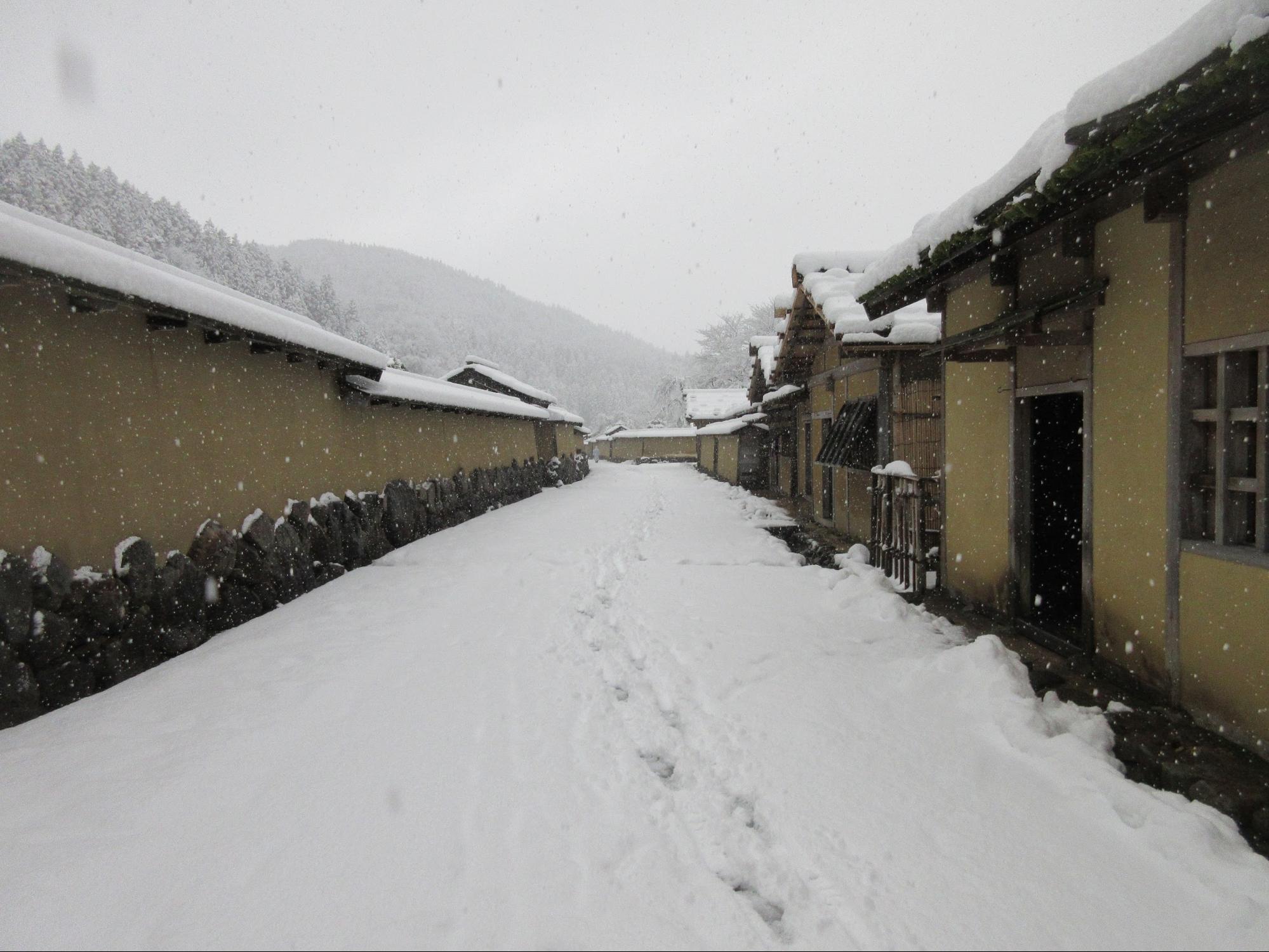 【福井・越前ドライブ】冬の越前海岸の絶景ルートを巡る（雪景色を楽しむ旅 Vol.2）
