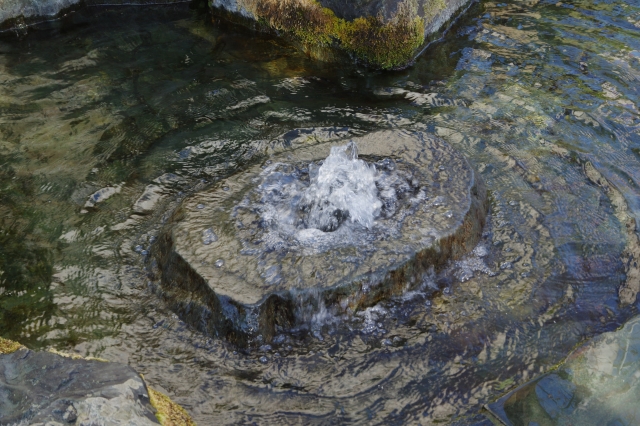 ⑦うちぬき湧水(愛媛)