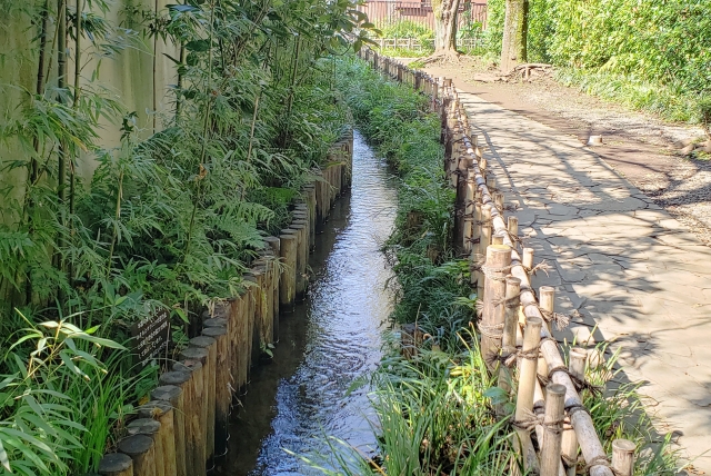 ⑧お鷹の水（東京都）