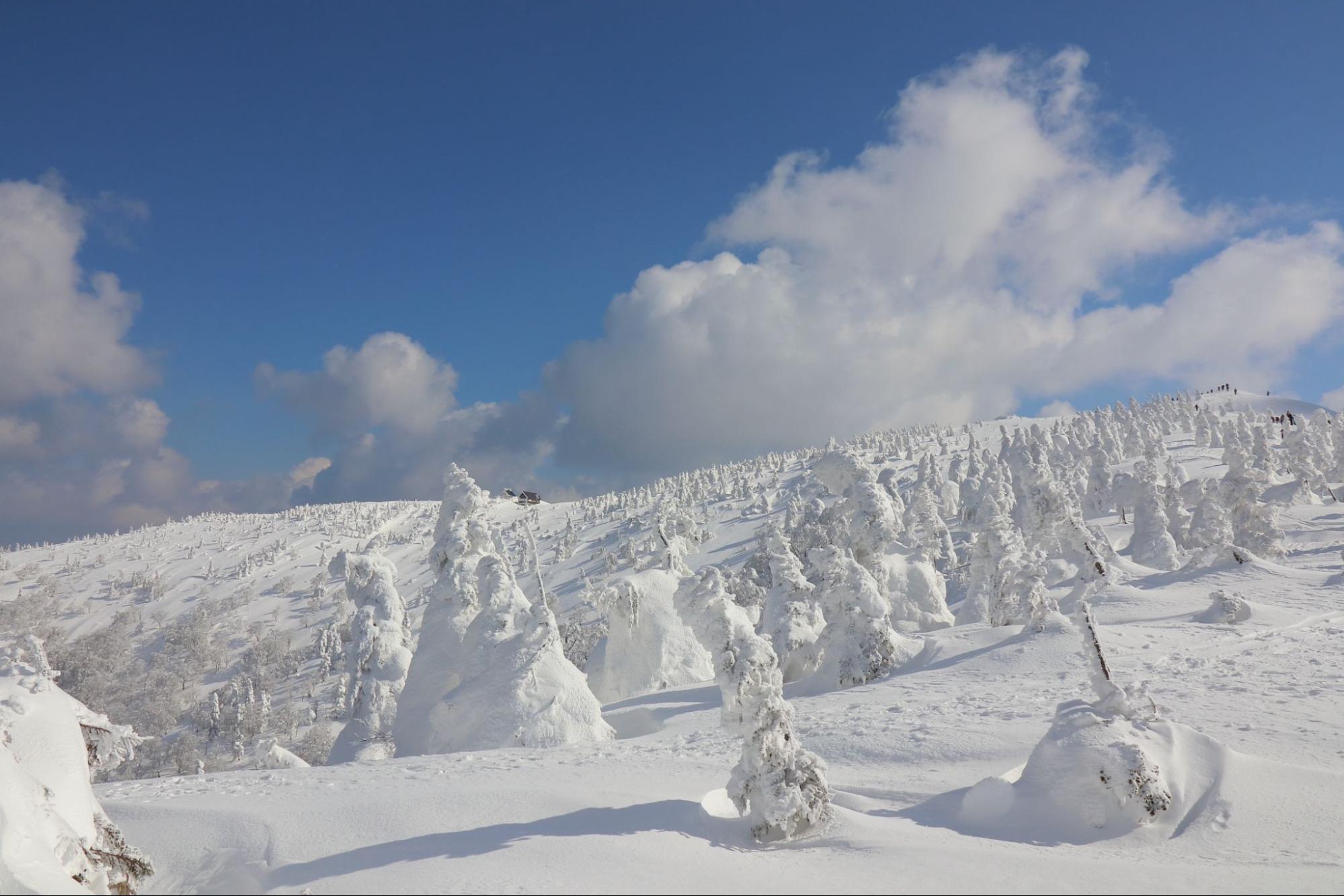 【秋田・角館〜田沢湖ドライブ】樹氷と温泉を楽しむ、癒しの周遊旅（雪景色を楽しむ旅 Vol.4）