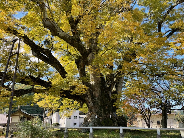 【大阪・北摂ドライブ】親子みずいらずの里山トリップへ(親孝行の旅Vol.7)